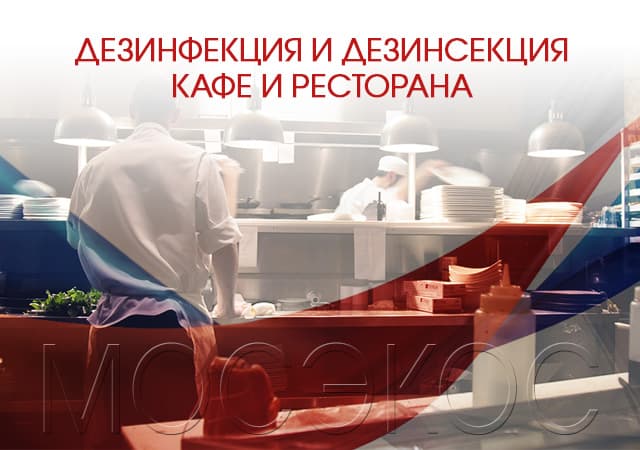 Дезинсекция предприятия общественного питания в Климовске