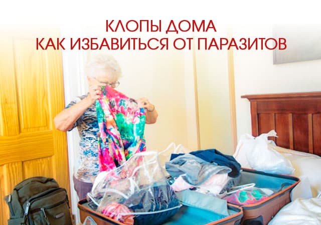 Клопы дома: как избавиться от паразитов в Климовске