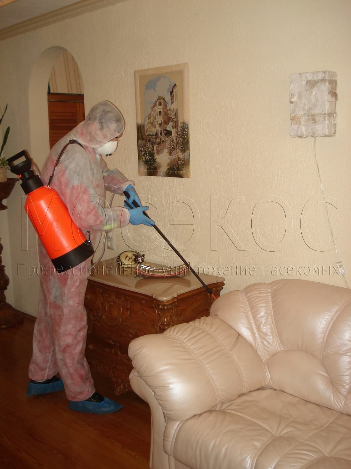 Клопы дома: как избавиться от паразитов в Климовске